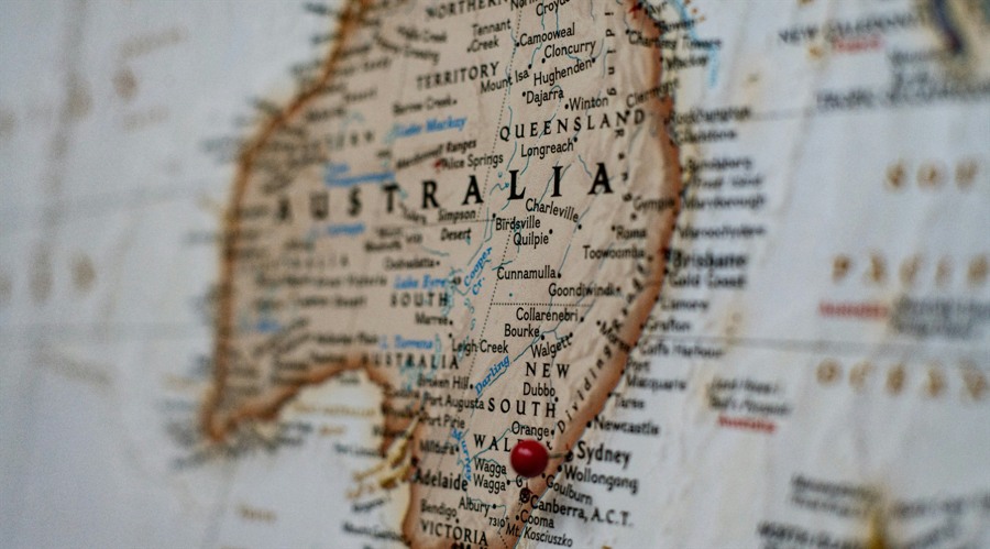 华南农业大学薛红卫:岭南特色是广东现代农业的“根与魂”